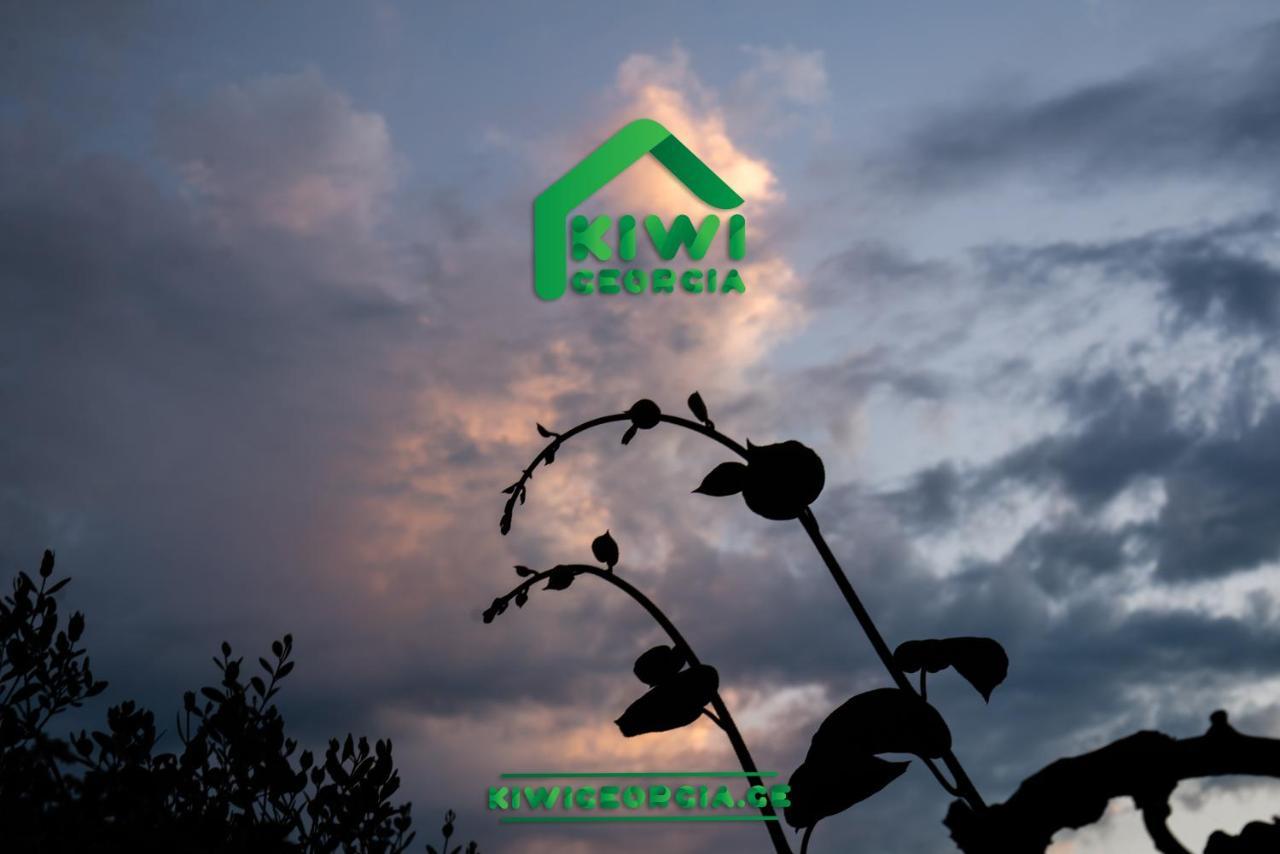 Kiwi Georgia Villa Kobuleti Exteriör bild